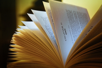 It so happened Supplementary Reader